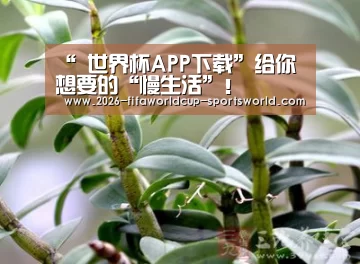 “ 世界杯APP下载”给你想要的“慢生活”!(图3) FIFA World Cup