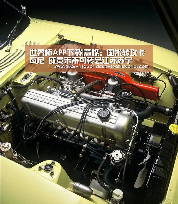 世界杯APP下载|意媒:国米转攻卡瓦尼 球员未来可转会江苏苏宁(图2) 世界杯热门赛事